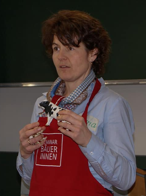 Schulworkshop Burgerkurs