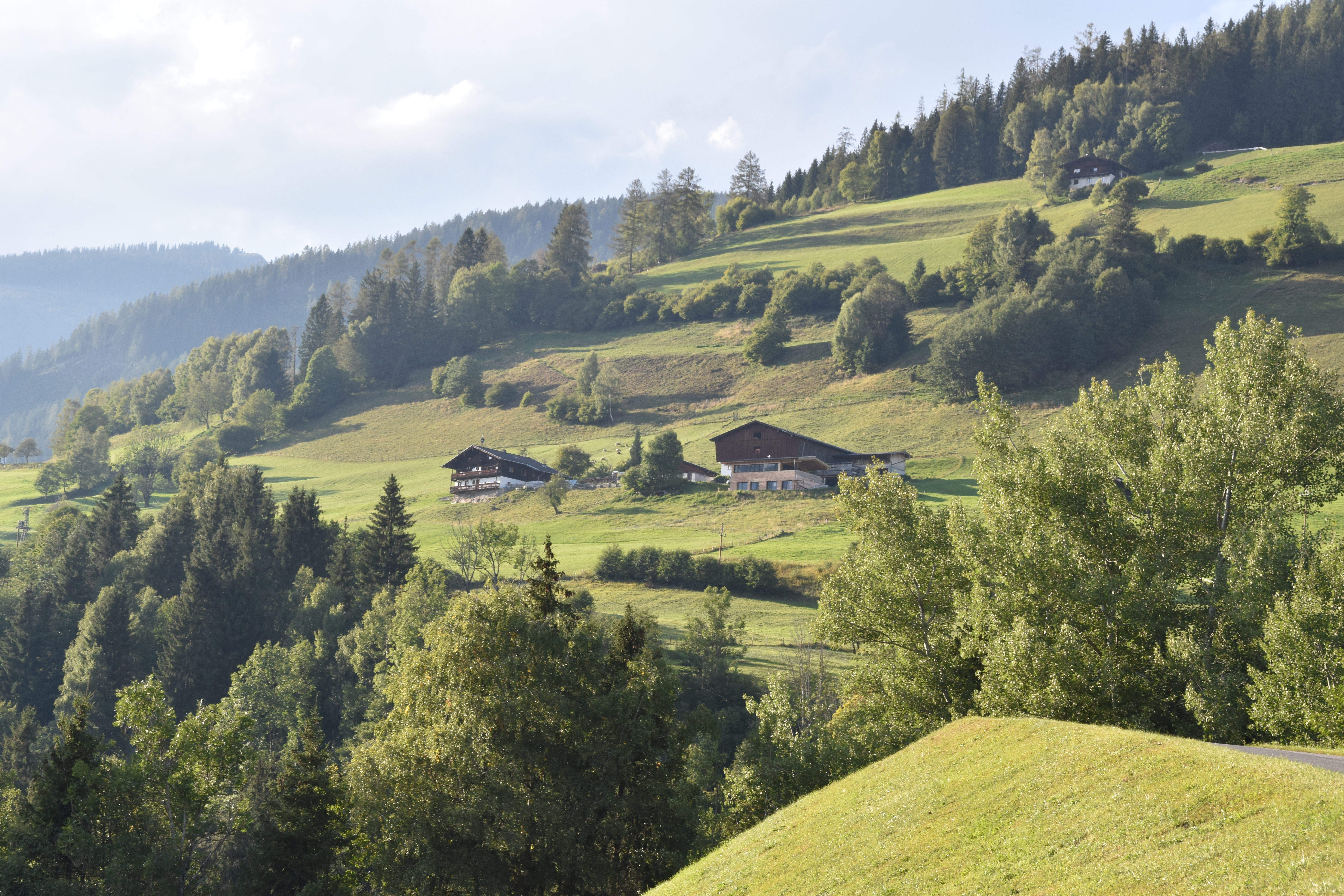 Hofaufnahme
