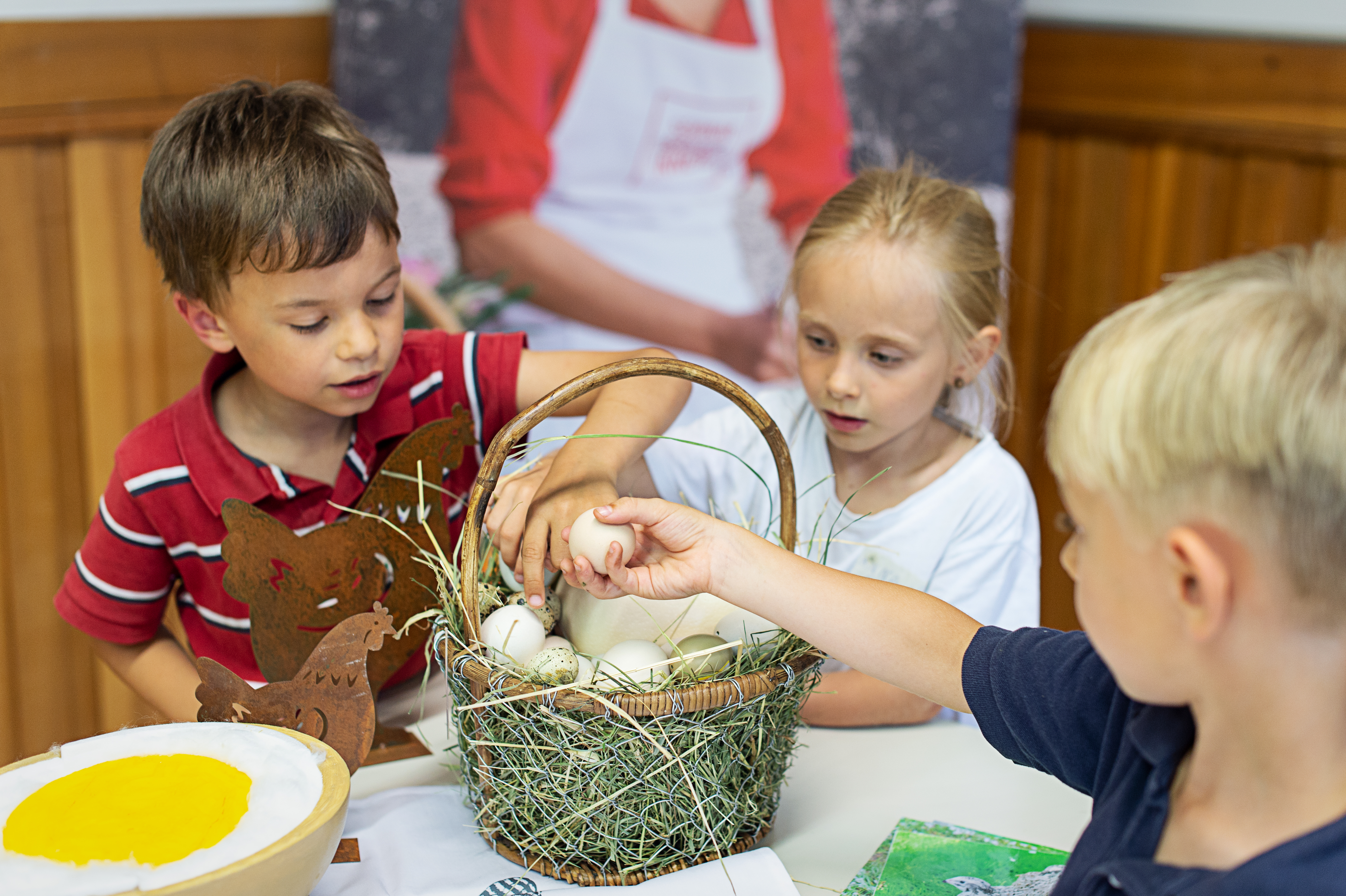 Workshop Das Ei - Eine runde Sache