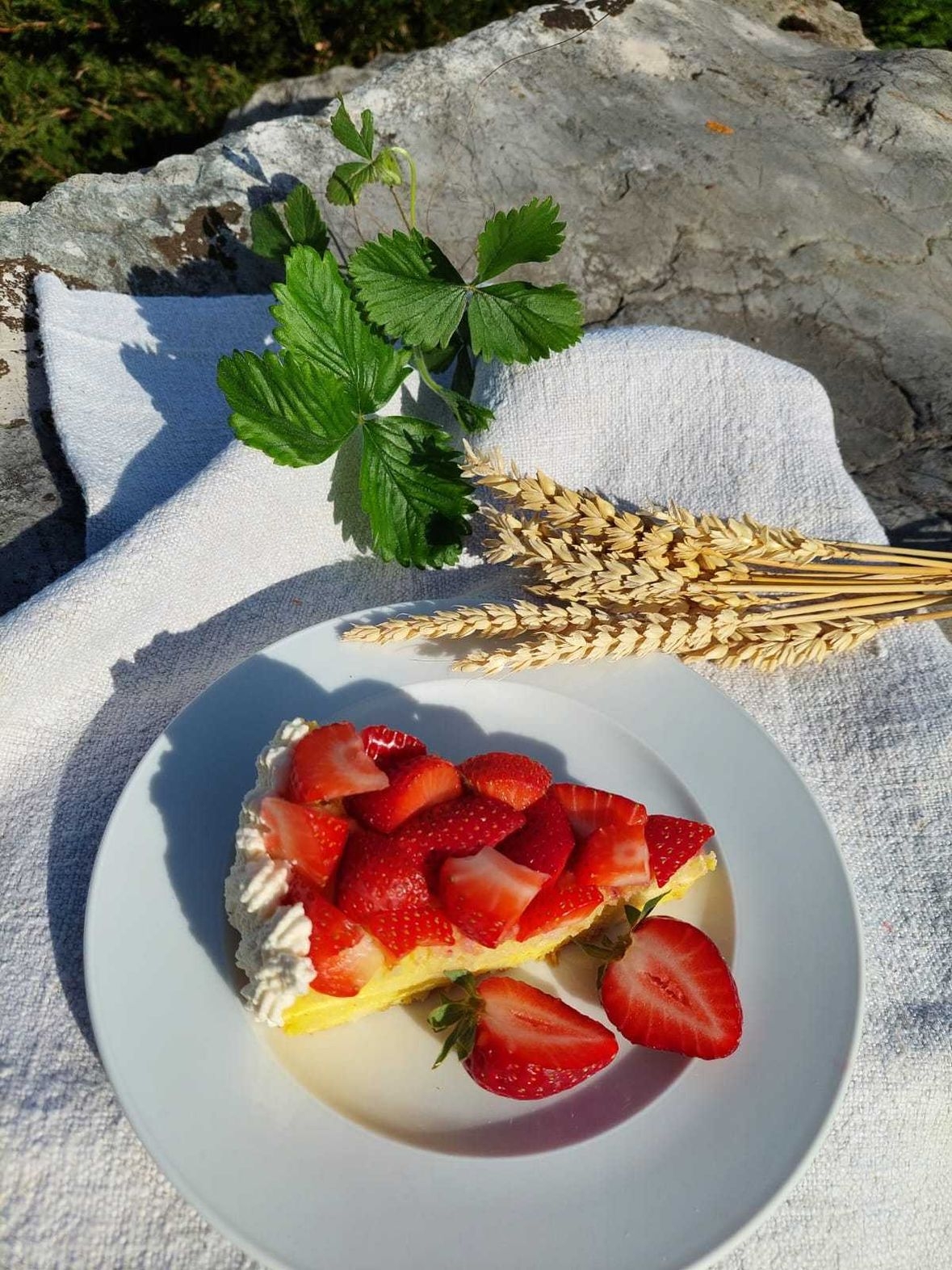 Geleekuchen