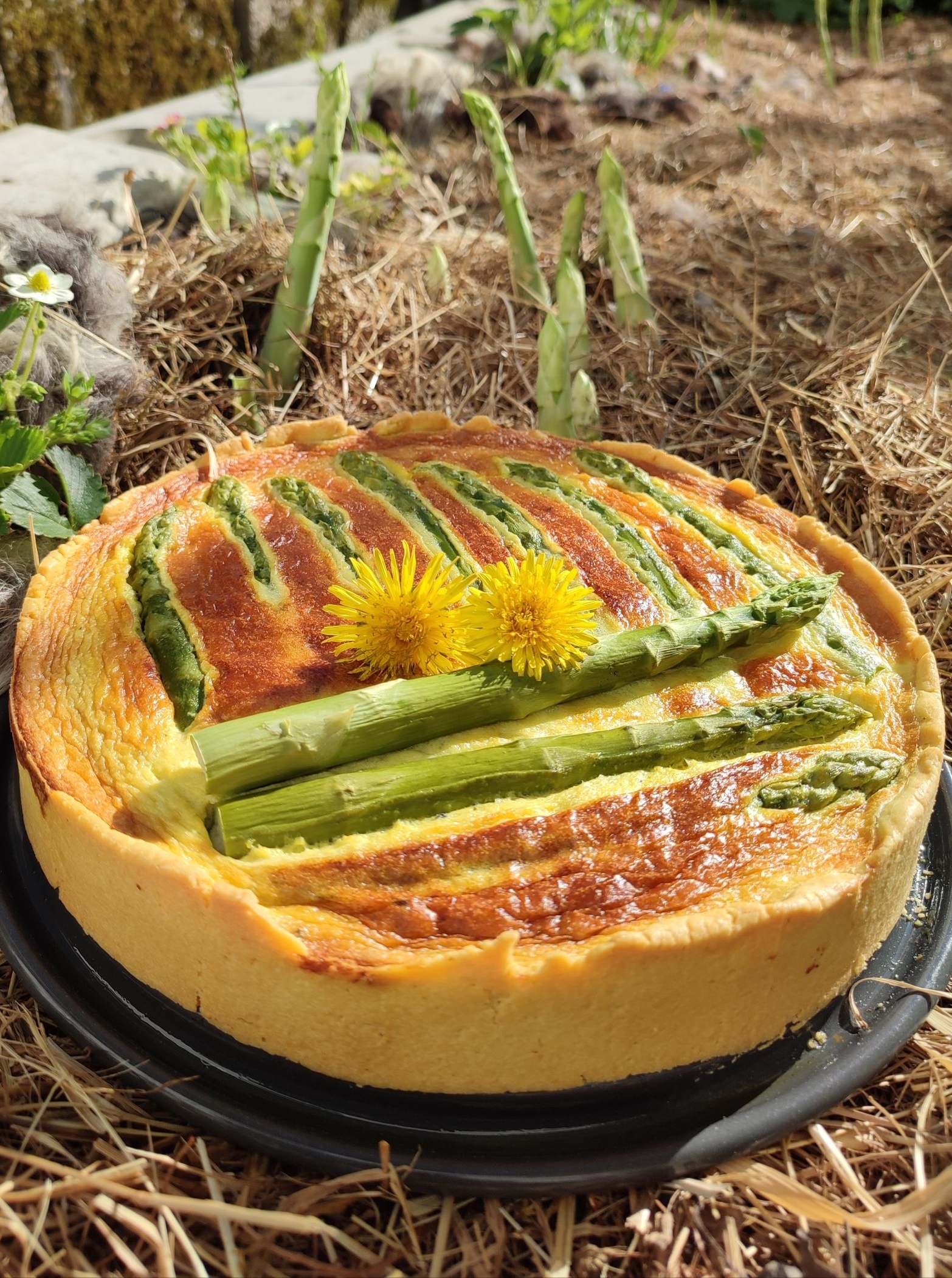 Spargel Torte